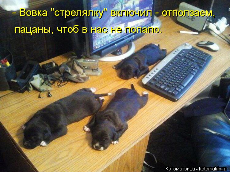 - Вовка "стрелялку" включил - отползаем, пацаны, чтоб в нас не попало.... Котоматрица: - Вовка "стрелялку" включил - отползаем, пацаны, чтоб в нас не попало.