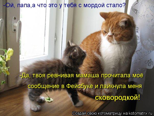 -Да, твоя ревнивая мамаша прочитала моё сообщение в Фейсбуке и лайкнула меня сковородкой! сковор... Котоматрица: -Да, твоя ревнивая мамаша прочитала моё сообщение в Фейсбуке и лайкнула меня сковородкой! сковородкой! -Ой, папа,а что это у тебя с мордой