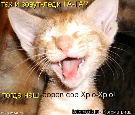 тогда наш боров сэр Хрю- Хрю! так и зовут-леди ГА-ГА?... Котоматрица: тогда наш боров сэр Хрю- Хрю! так и зовут-леди ГА-ГА?