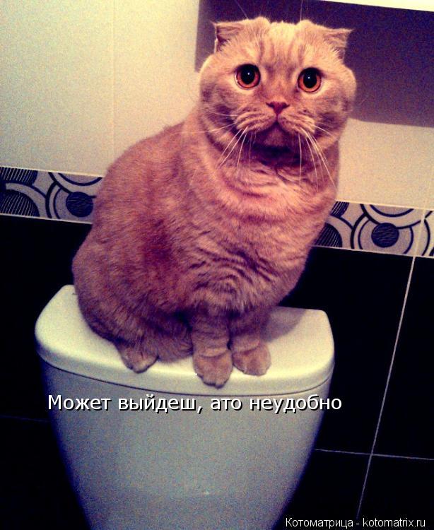 Может выйдеш, ато неудобно... Котоматрица: Может выйдеш, ато неудобно