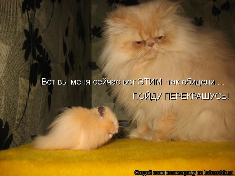 Вот вы меня сейчас вот ЭТИМ так обидели.... ПОЙДУ ПЕРЕКРАШУСЬ!... Котоматрица: Вот вы меня сейчас вот ЭТИМ так обидели.... ПОЙДУ ПЕРЕКРАШУСЬ!