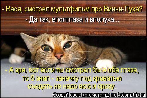 Котоматрица: - Вася, смотрел мультфильм про Винни-Пуха? - Да так, вполглаза и вполуха... - А зря, вот если ты смотрел бы в оба глаза, то б знал - заначку под кро