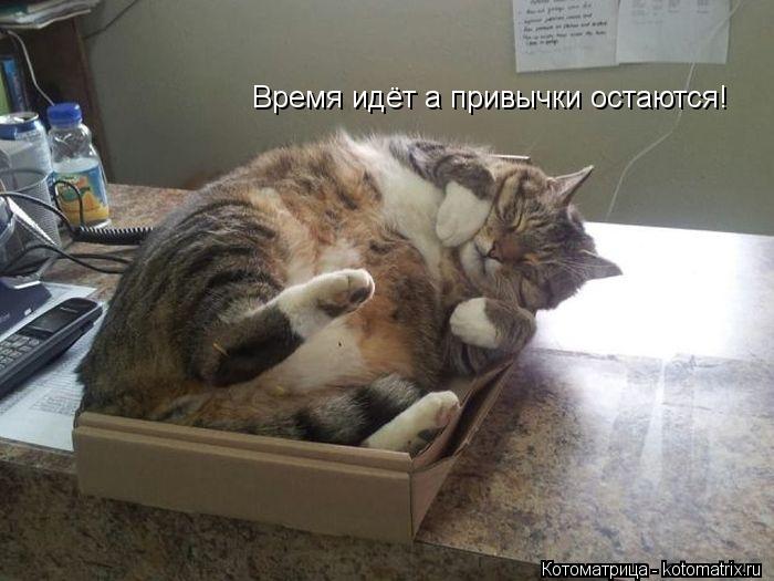 Время идёт а привычки остаются!... Котоматрица: Время идёт а привычки остаются!