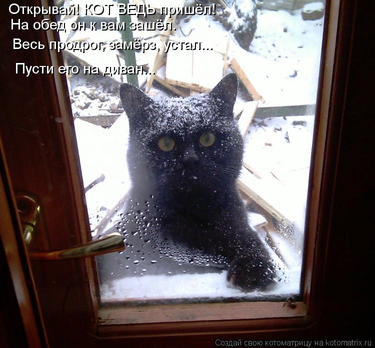Открывай! КОТ ВЕДЬ пришёл! На обед он к вам зашёл. Весь продрог, замёрз, устал... Пусти его на диван.... Котоматрица: Открывай! КОТ ВЕДЬ пришёл! На обед он к вам зашёл. Весь продрог, замёрз, устал... Пусти его на диван...