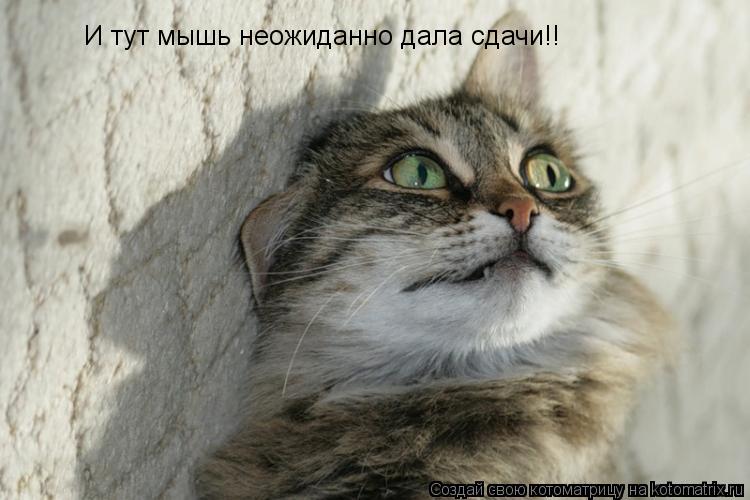 И тут мышь неожиданно дала сдачи!!... Котоматрица: И тут мышь неожиданно дала сдачи!!
