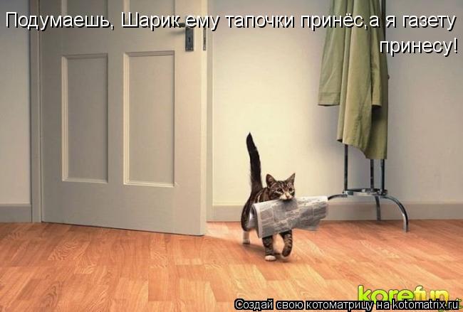 Подумаешь, Шарик ему тапочки принёс,а я газету принесу! принесу!... Котоматрица: Подумаешь, Шарик ему тапочки принёс,а я газету принесу! принесу!