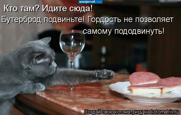 Кто там? Идите сюда! Бутерброд подвиньте! Гордость не позволяет самому пододвинуть!... Котоматрица: Кто там? Идите сюда! Бутерброд подвиньте! Гордость не позволяет самому пододвинуть!