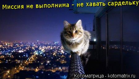 Миссия не выполнима - не хавать сардельку... Котоматрица: Миссия не выполнима - не хавать сардельку
