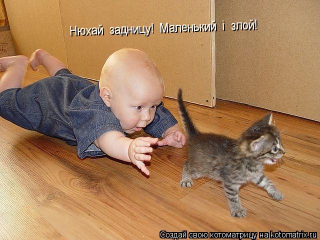 Нюхай задницу! Маленький і злой!... Котоматрица: Нюхай задницу! Маленький і злой!