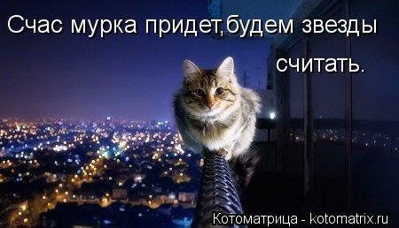 Счас мурка придет,будем звезды считать.... Котоматрица: Счас мурка придет,будем звезды считать.