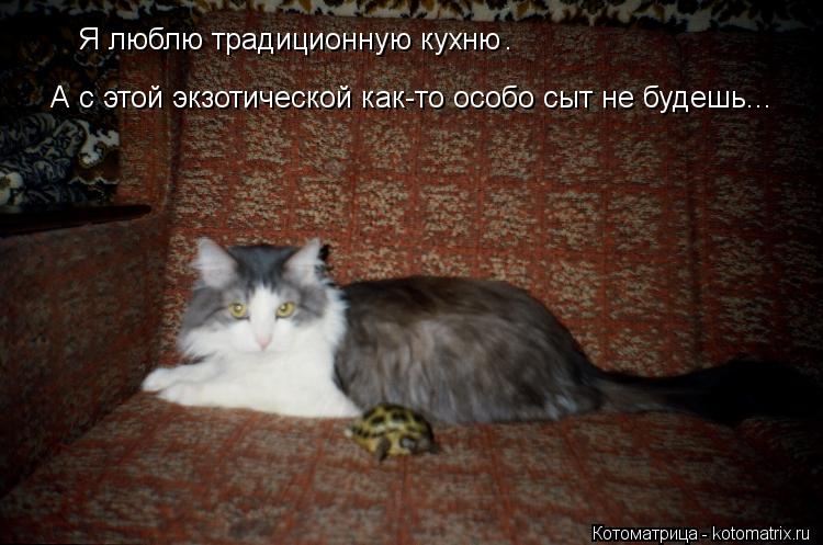 Я люблю традиционную кухню А с этой экзотической как-то особо сыт не будешь... .... Котоматрица: Я люблю традиционную кухню А с этой экзотической как-то особо сыт не будешь... .