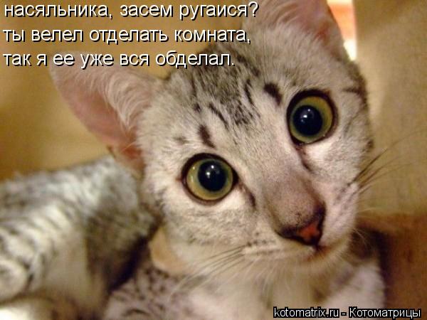 насяльника, засем ругаися? ты велел отделать комната, так я ее уже вся обделал.... Котоматрица: насяльника, засем ругаися? ты велел отделать комната, так я ее уже вся обделал.