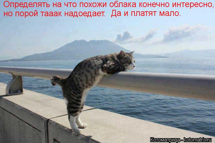 но порой тааак надоедет. Определять на что похожи облака конечно интересно, Определять на что похожи ... Котоматрица: но порой тааак надоедет. Определять на что похожи облака конечно интересно, Определять на что похожи облака конечно интересно, но порой таа