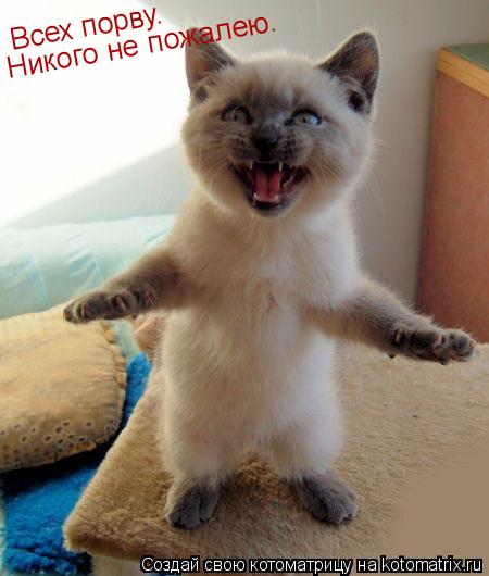 Всех порву. Всех порву. Никого не пожалею. Никого не пожалею. Подходи по одному... Котоматрица: Всех порву. Всех порву. Никого не пожалею. Никого не пожалею. Подходи по одному