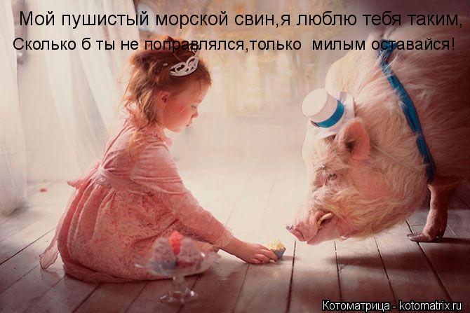 Мой пушистый морской свин,я люблю тебя таким, Сколько б ты не поправлялся,только милым оставайся!... Котоматрица: Мой пушистый морской свин,я люблю тебя таким, Сколько б ты не поправлялся,только милым оставайся!