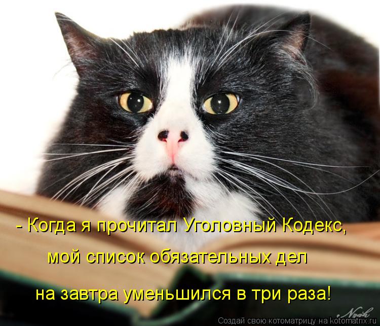 Котоматрица: - Когда я прочитал Уголовный Кодекс, мой список обязательных дел на завтра уменьшился в три раза!