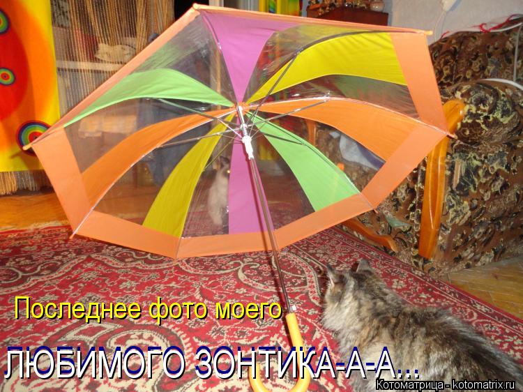 Последнее фото моего ЛЮБИМОГО ЗОНТИКА-А-А... ЛЮБИМОГО ЗОНТИКА-А-А...... Котоматрица: Последнее фото моего ЛЮБИМОГО ЗОНТИКА-А-А... ЛЮБИМОГО ЗОНТИКА-А-А...