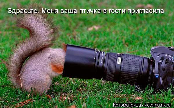 Здрасьте. Меня ваша птичка в гости пригласила... Котоматрица: Здрасьте. Меня ваша птичка в гости пригласила