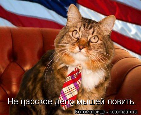 Не царское дело,мышей ловить.... Котоматрица: Не царское дело,мышей ловить.