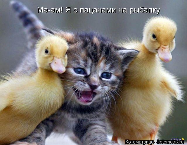 Ма-ам! Я с пацанами на рыбалку... Котоматрица: Ма-ам! Я с пацанами на рыбалку