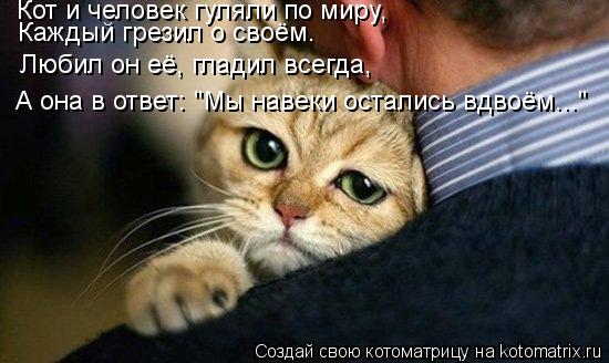 Кот и человек гуляли по миру, Каждый грезил о своём. Любил он её, гладил всегда, А она в ответ: "Мы н... Котоматрица: Кот и человек гуляли по миру, Каждый грезил о своём. Любил он её, гладил всегда, А она в ответ: "Мы навеки остались вдвоём..."