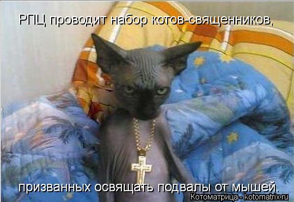 РПЦ проводит набор котов-священников, призванных освящать подвалы от мышей. призванных освящать подв... Котоматрица: РПЦ проводит набор котов-священников, призванных освящать подвалы от мышей. призванных освящать подвалы от мышей.