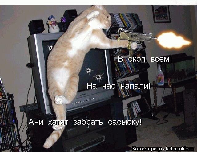 В окоп всем! На нас напали! Ани хатят забрать сасыску!... Котоматрица: В окоп всем! На нас напали! Ани хатят забрать сасыску!