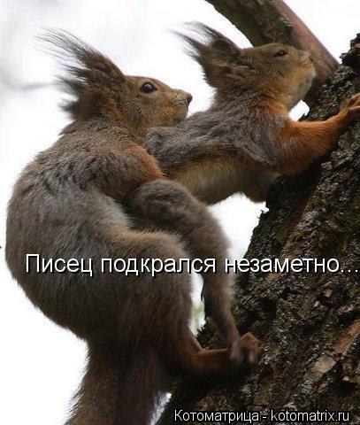 Писец подкрался незаметно....... Котоматрица: Писец подкрался незаметно....