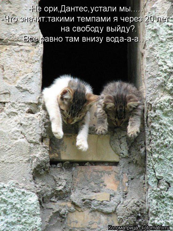 -Не ори,Дантес,устали мы..... -Что значит:такими темпами я через 20 лет . на свободу выйду?. Все равн... Котоматрица: -Не ори,Дантес,устали мы..... -Что значит:такими темпами я через 20 лет . на свободу выйду?. Все равно там внизу вода-а-а...