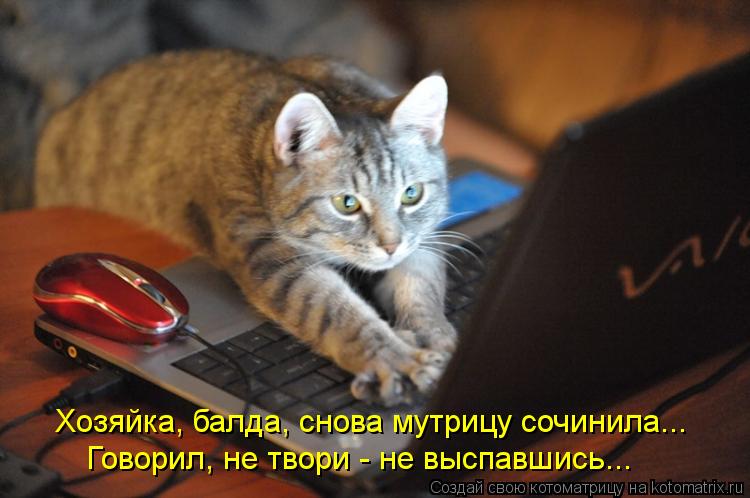 Хозяйка, балда, снова мутрицу сочинила... Говорил, не твори - не выспавшись...... Котоматрица: Хозяйка, балда, снова мутрицу сочинила... Говорил, не твори - не выспавшись...