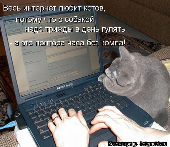 Весь интернет любит котов, потому что с собакой надо трижды в день гулять - а это полтора часа без... Котоматрица: Весь интернет любит котов, потому что с собакой надо трижды в день гулять - а это полтора часа без компа!