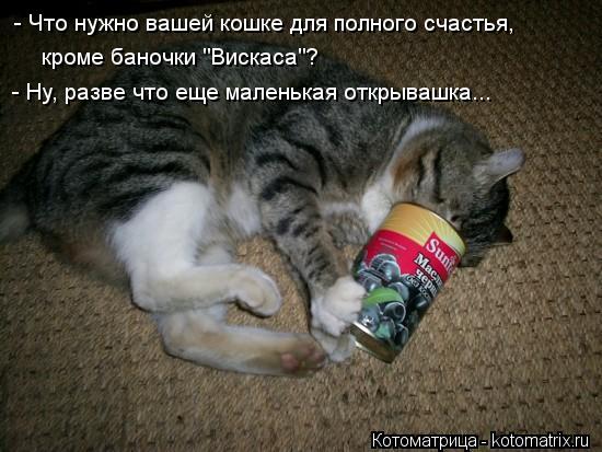- Что нужно вашей кошке для полного счастья, кроме баночки "Вискаса"? - Ну, разве что еще маленькая... Котоматрица: - Что нужно вашей кошке для полного счастья, кроме баночки "Вискаса"? - Ну, разве что еще маленькая открывашка...