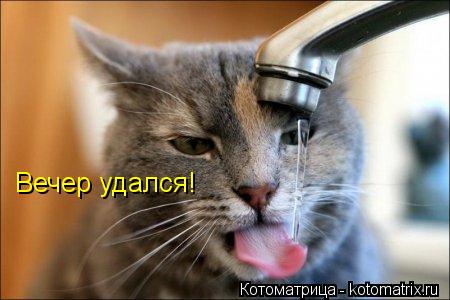 Вечер удался!... Котоматрица: Вечер удался!