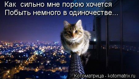 Как сильно мне порою хочется Побыть немного в одиночестве...... Котоматрица: Как сильно мне порою хочется Побыть немного в одиночестве...