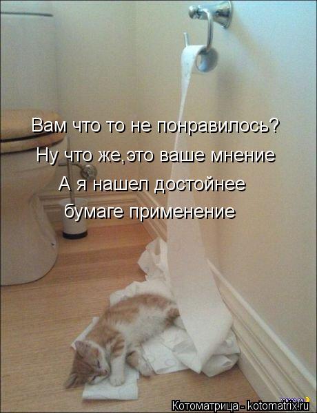 Вам что то не понравилось? Ну что же,это ваше мнение А я нашел достойнее бумаге применение... Котоматрица: Вам что то не понравилось? Ну что же,это ваше мнение А я нашел достойнее бумаге применение