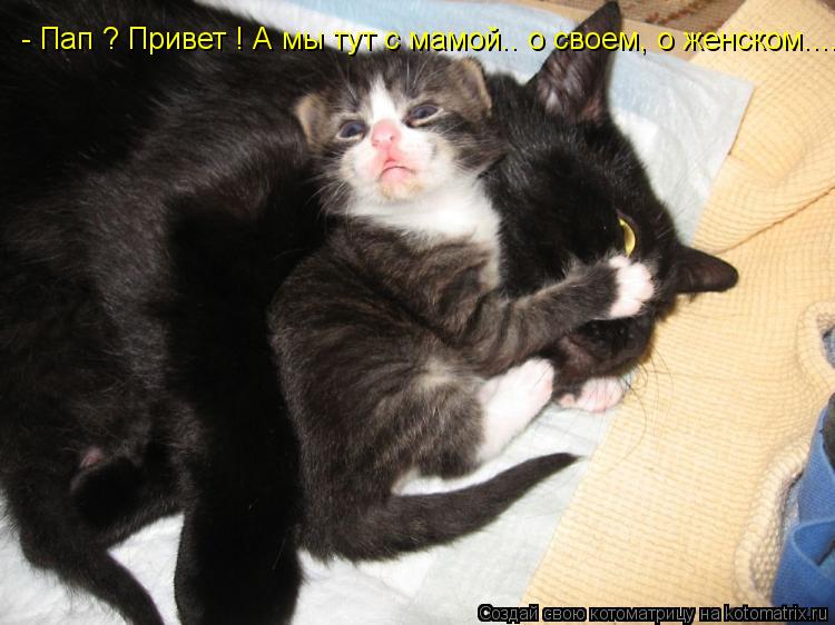 - Пап ? Привет ! А мы тут с мамой.. о своем, о женском....... Котоматрица: - Пап ? Привет ! А мы тут с мамой.. о своем, о женском....