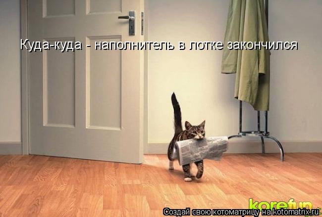Куда-куда - наполнитель в лотке закончился... Котоматрица: Куда-куда - наполнитель в лотке закончился