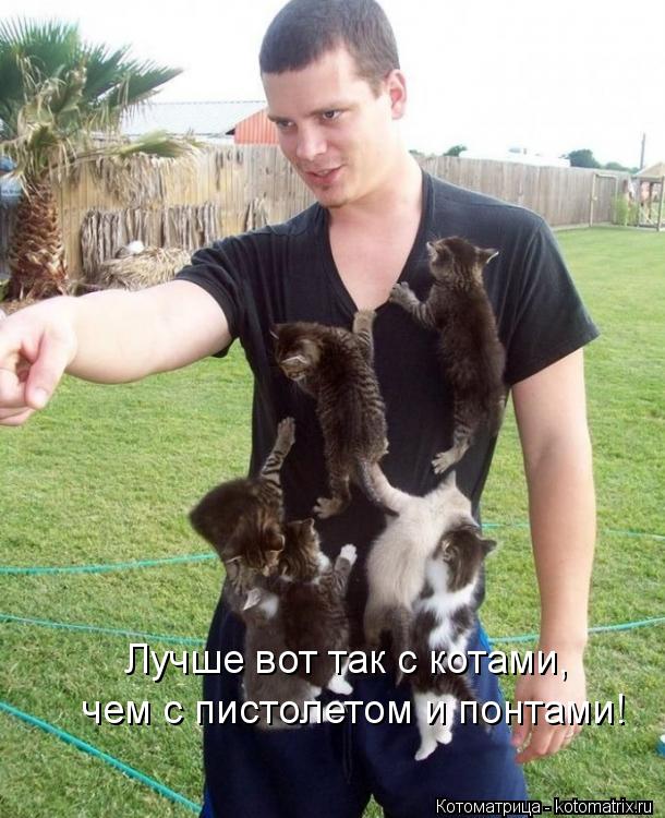 Лучше вот так с котами, чем с пистолетом и понтами!... Котоматрица: Лучше вот так с котами, чем с пистолетом и понтами!