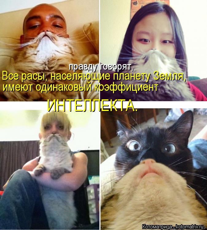Все расы, населяющие планету Земля, имеют одинаковый коэффициент ИНТЕЛЛЕКТА. правду говорят,... Котоматрица: Все расы, населяющие планету Земля, имеют одинаковый коэффициент ИНТЕЛЛЕКТА. правду говорят,