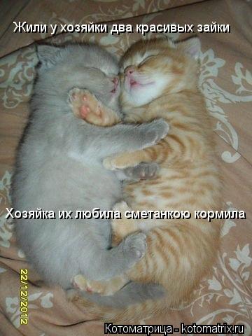 Жили у хозяйки два красивых зайки Хозяйка их любила сметанкою кормила... Котоматрица: Жили у хозяйки два красивых зайки Хозяйка их любила сметанкою кормила