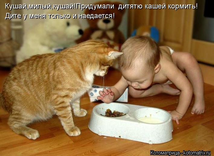 Котоматрица: Кушай,милый,кушай!Придумали  дитятю кашей кормить! Дите у меня только и наедается!