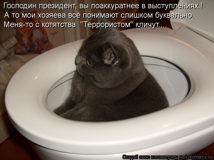Господин президент, вы поаккуратнее в выступлениях.! А то мои хозяева всё понимают слишком буквально... Котоматрица: Господин президент, вы поаккуратнее в выступлениях.! А то мои хозяева всё понимают слишком буквально. Меня-то с котятства "Террористом" кл