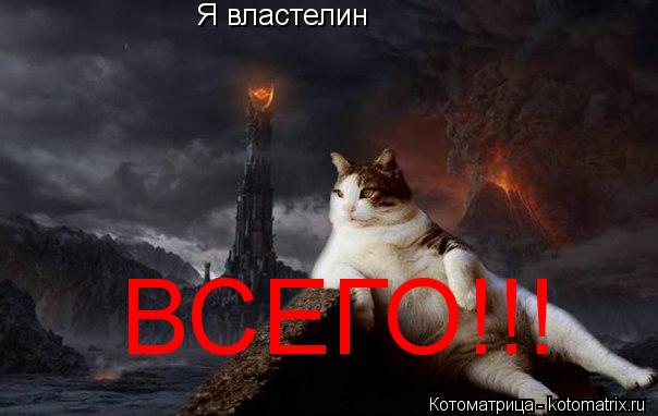 Я властелин ВСЕГО!!!... Котоматрица: Я властелин ВСЕГО!!!