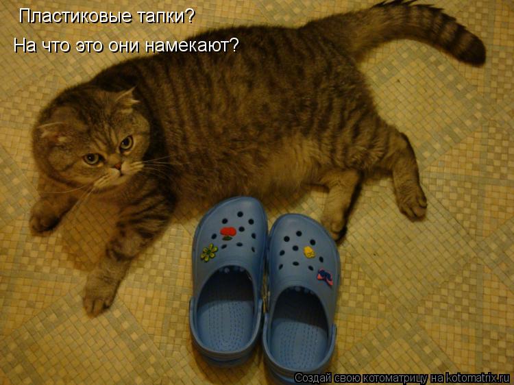 Пластиковые тапки? На что это они намекают?... Котоматрица: Пластиковые тапки? На что это они намекают?