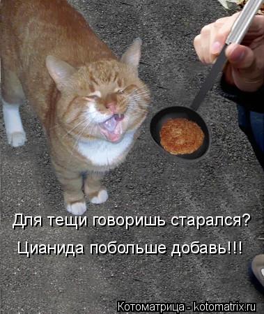 Для тещи говоришь старался? Цианида побольше добавь!!!... Котоматрица: Для тещи говоришь старался? Цианида побольше добавь!!!