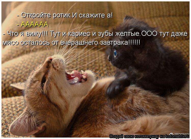 - Откройте ротик. И скажите а! - АААААА - Что я вижу!!! Тут и кариес и зубы желтые.ООО тут даже мясо ... Котоматрица: - Откройте ротик. И скажите а! - АААААА - Что я вижу!!! Тут и кариес и зубы желтые.ООО тут даже мясо осталось от вчерашнего завтрака!!!!!!