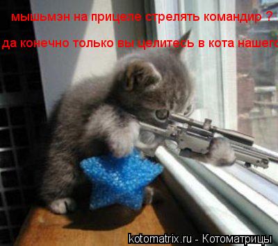 мышьмэн на прицеле стрелять командир ? да конечно только вы целитесь в кота нашего... Котоматрица: мышьмэн на прицеле стрелять командир ? да конечно только вы целитесь в кота нашего