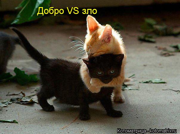 Добро VS зло... Котоматрица: Добро VS зло