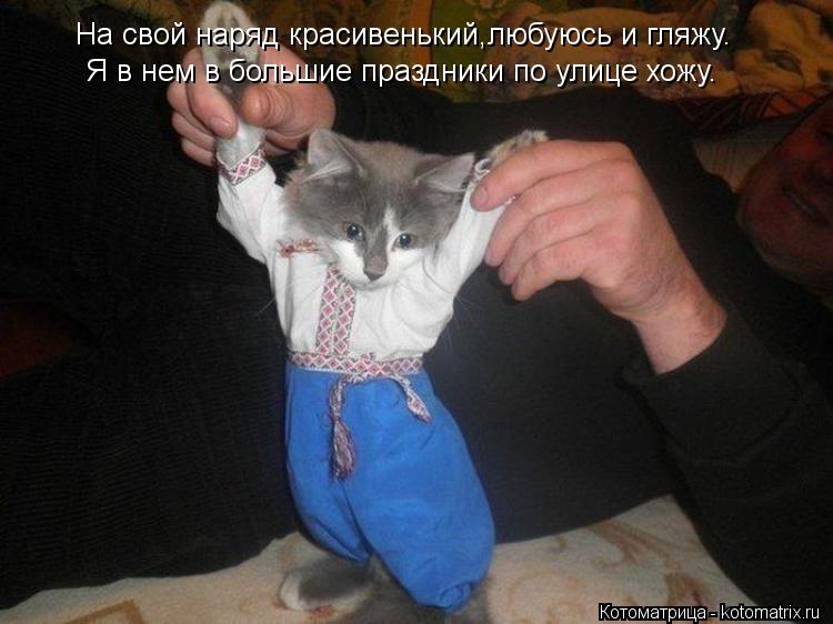 На свой наряд красивенький,любуюсь и гляжу. Я в нем в большие праздники по улице хожу.... Котоматрица: На свой наряд красивенький,любуюсь и гляжу. Я в нем в большие праздники по улице хожу.
