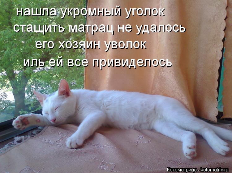 нашла укромный уголок стащить матрац не удалось его хозяин уволок иль ей все привиделось... Котоматрица: нашла укромный уголок стащить матрац не удалось его хозяин уволок иль ей все привиделось